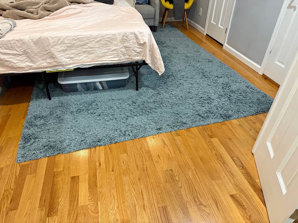 Plush blue rug (7'10" x 10'2")