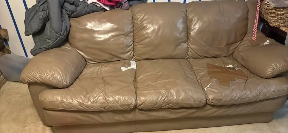 FREEEEEE‼️ Couch- leather thumbnail