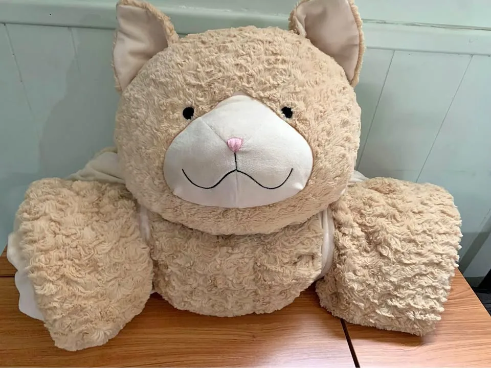 Kids Cat sleeping bag thumbnail