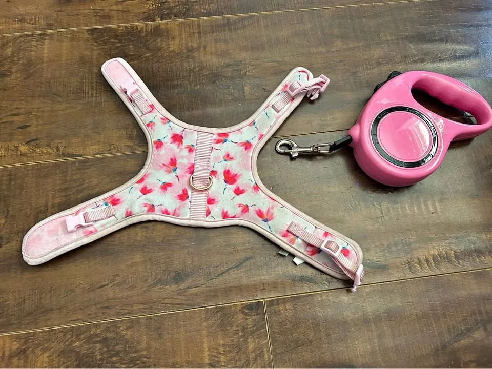 xxs dog harness & leash