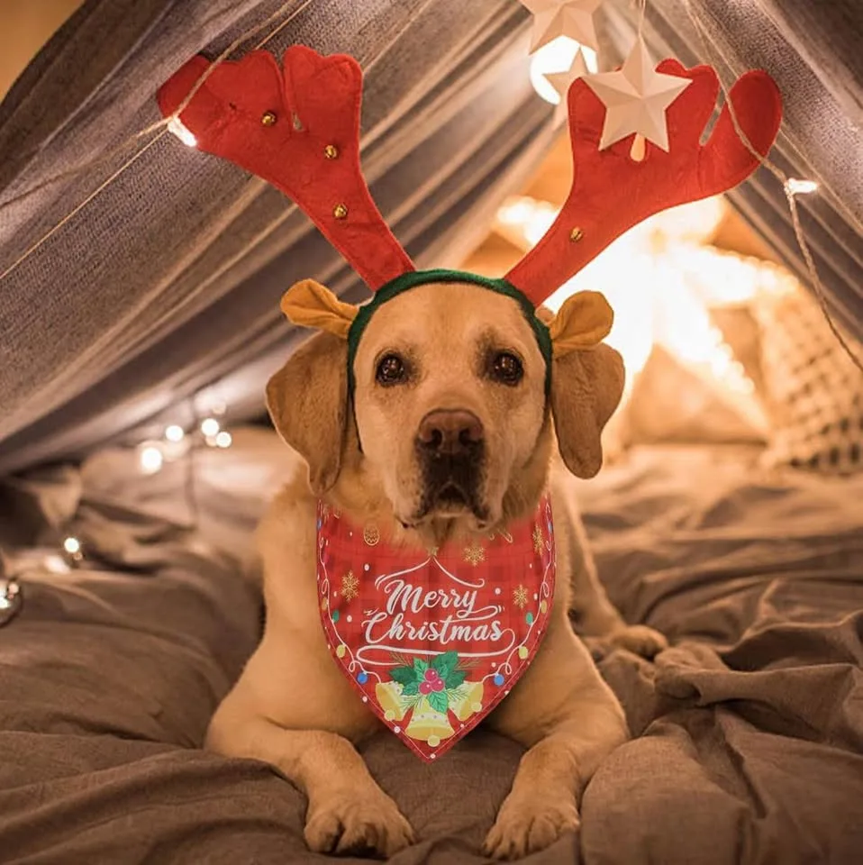 9 Pack Colorful Holiday Dog Bandanas Set image indicator(5)