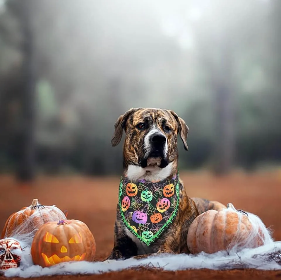 9 Pack Colorful Holiday Dog Bandanas Set image indicator(7)