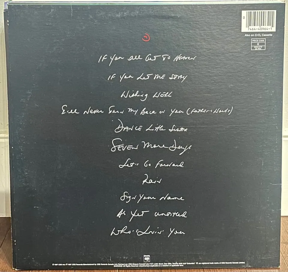 Assorted vinyl records part 2. $10 each image indicator(2)