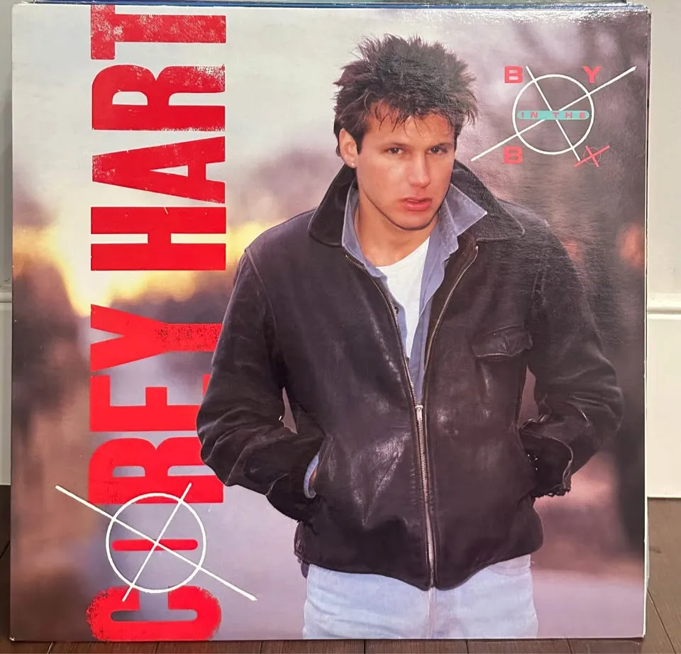 Assorted vinyl records part 3. $10 each image indicator(9)