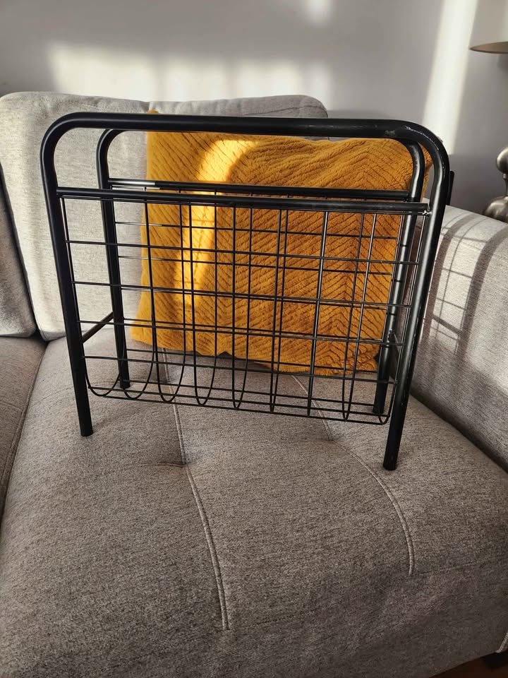 Vintage Amisco vinyl records or magazine holder 1980s - photo 4