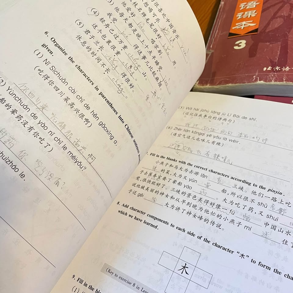 Chinese Language Textbooks & Workbooks — 3 Years / 6 Books - photo 4