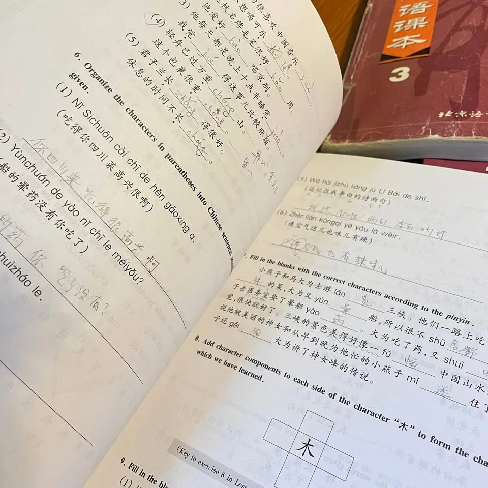 Chinese Language Textbooks & Workbooks — 3 Years / 6 Books image indicator(4)