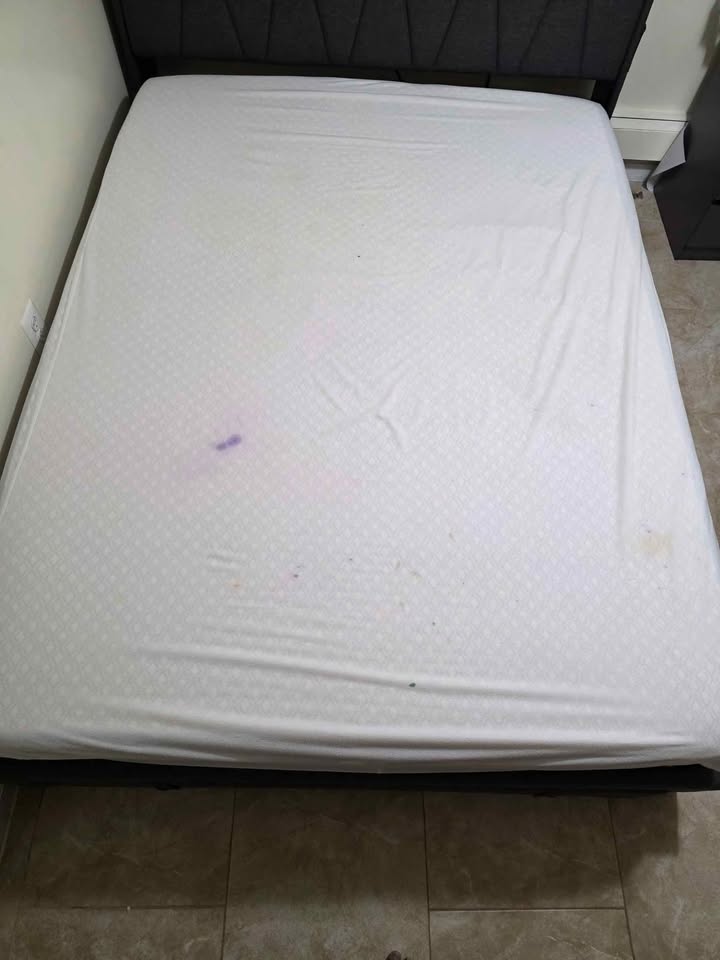 Sealy Coll 10" Hybrid Matress for sale - photo 4