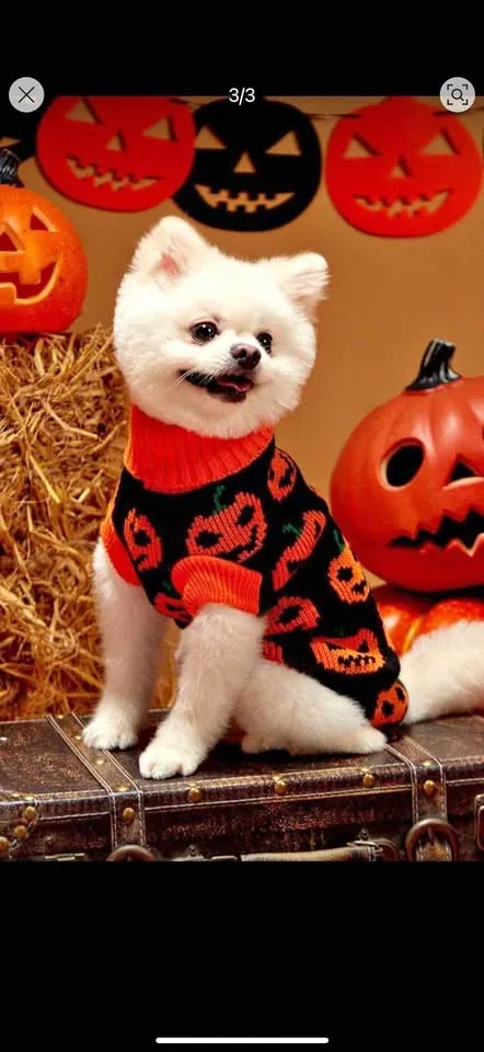 🎃 Adorable Halloween Pumpkin Sweater for Small Puppies