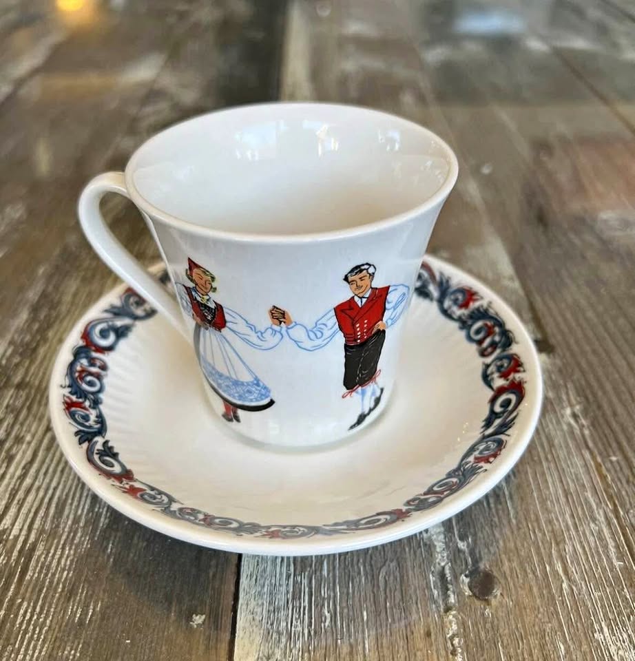 Figgjo Flint Teacup & Saucer Set