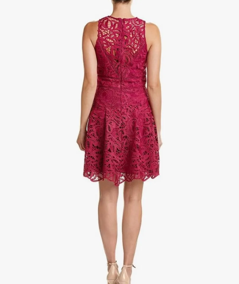 Crochet Lace Fit & Flare Dress in purple image indicator(2)
