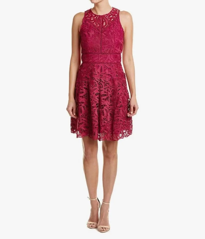 Crochet Lace Fit & Flare Dress in purple image indicator(3)