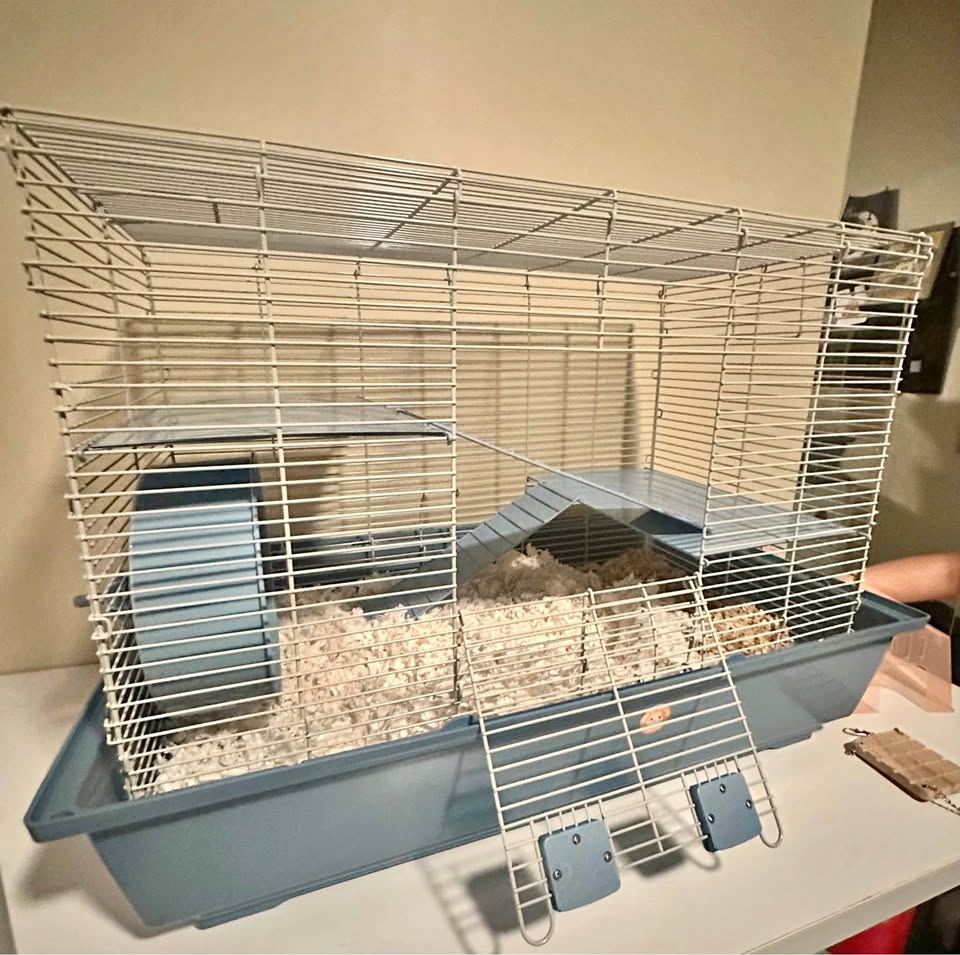 Hamster or rat cage