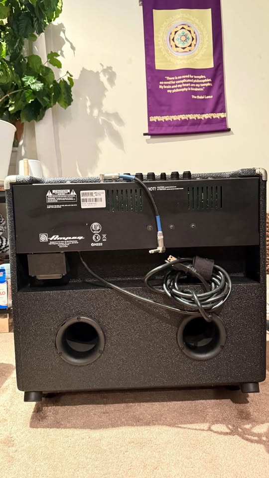 Ampeg BA115 - Base Amplifier - photo 2