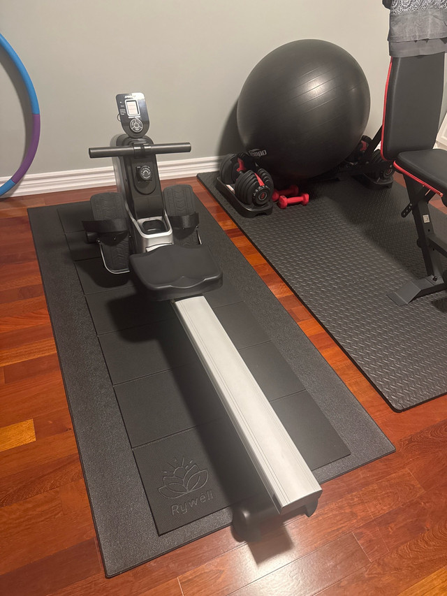 Stamina Rowing Machine