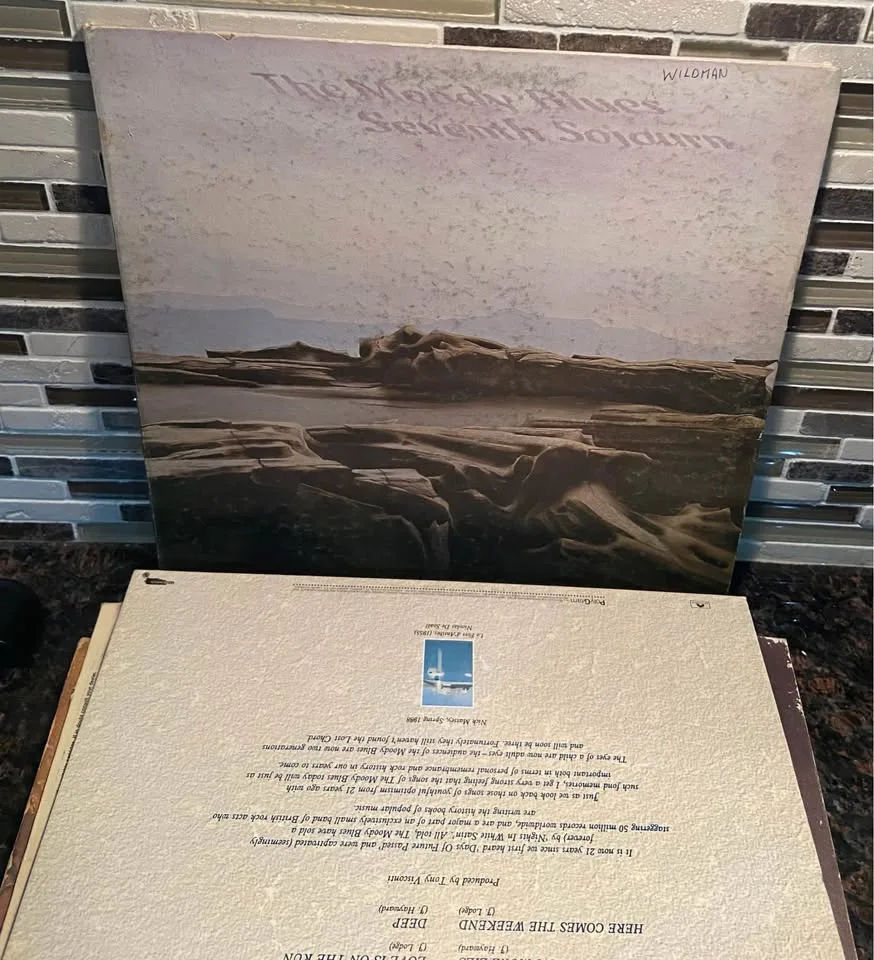 Moody Blues OG Vinyl RIP John Lodge image indicator(10)