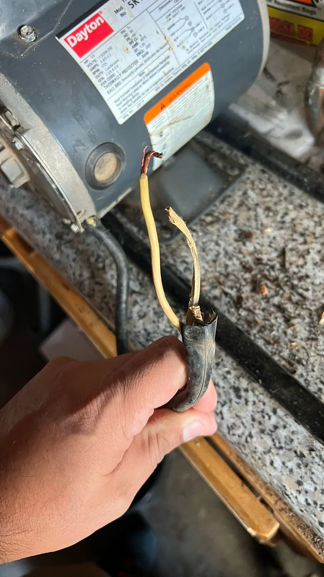 Dayton 5K115ba Industrial Motor 1/3 Hp image indicator(3)