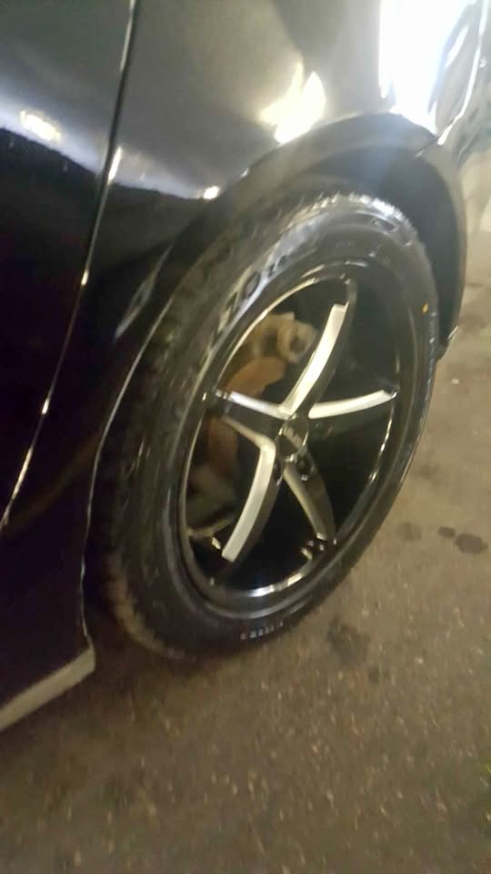2005 Pontiac G6 V6
