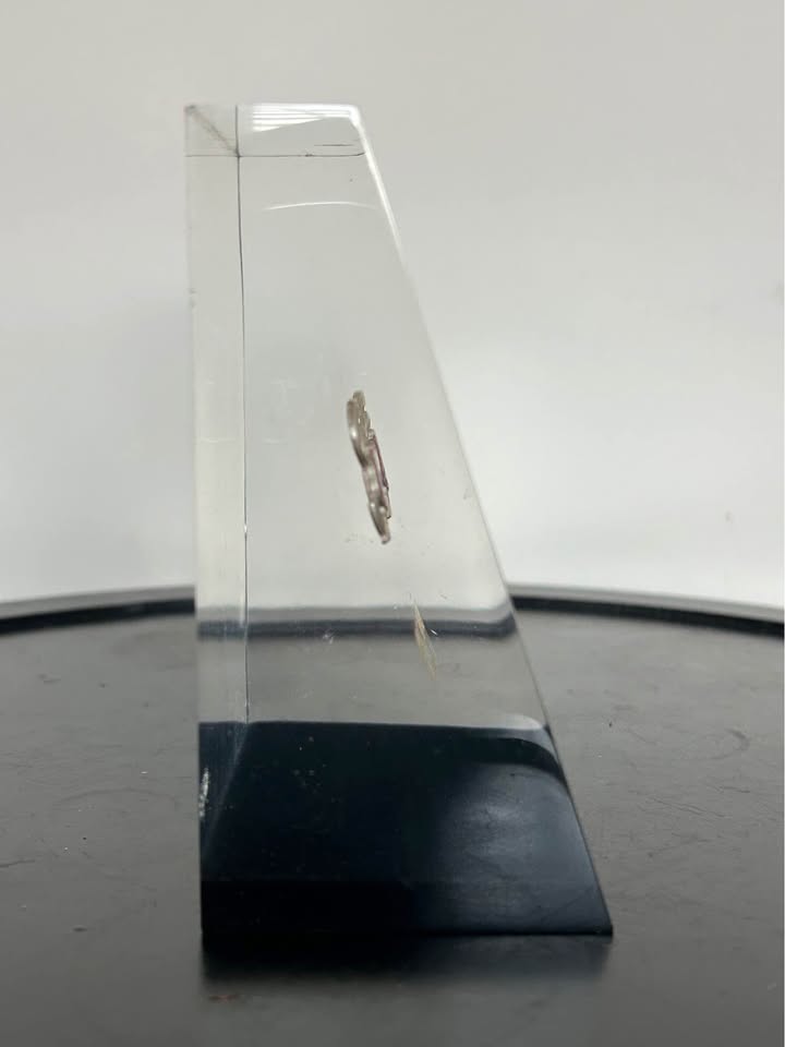 1971 Queen's University Lucite Display - photo 5