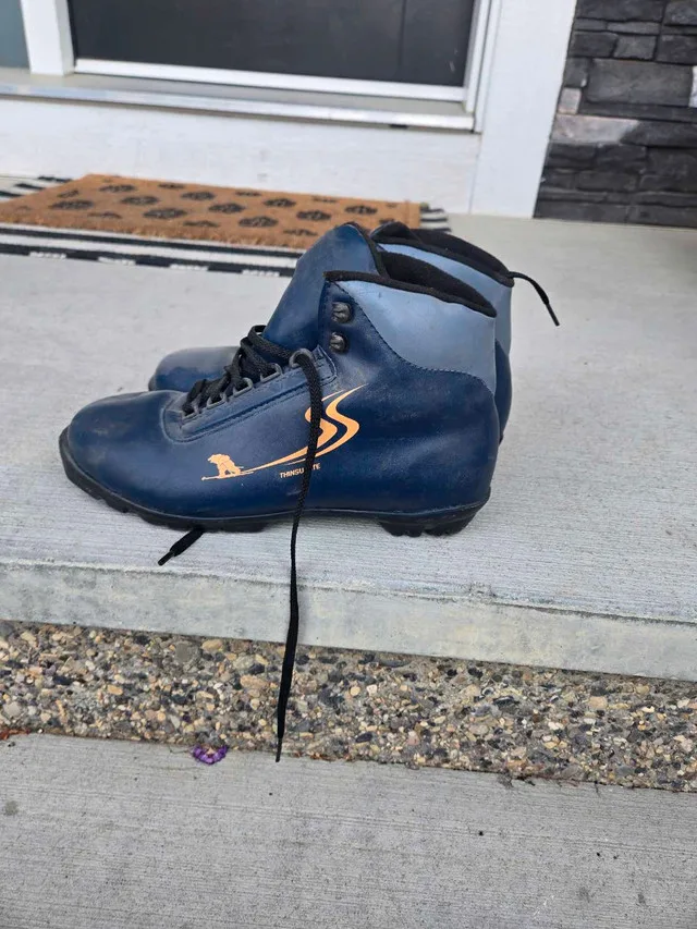 Cross country skis and poles image indicator(2)