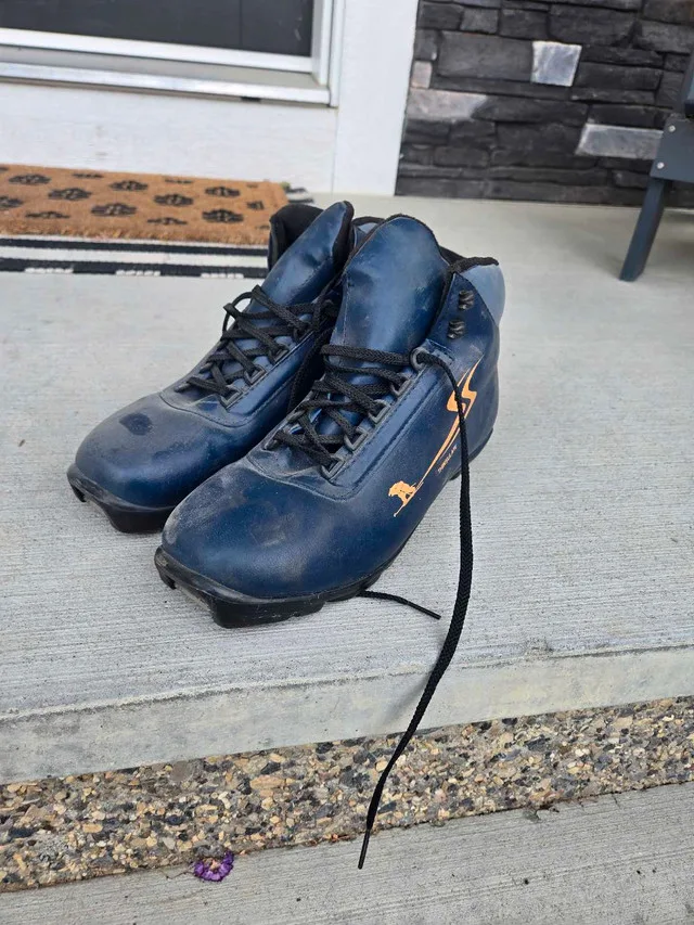 Cross country skis and poles image indicator(3)