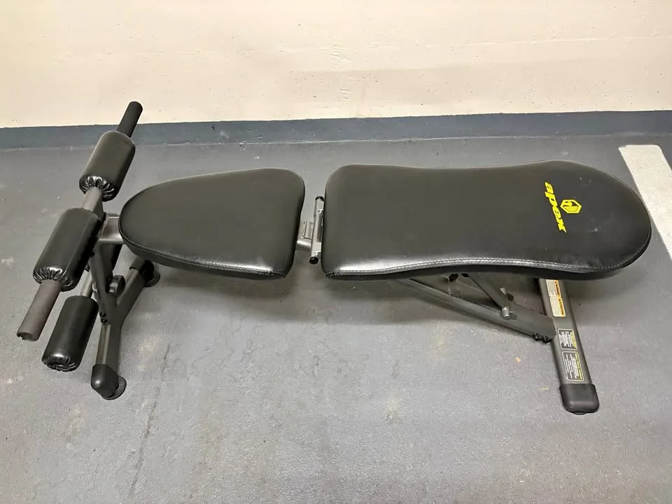 Exercise Weight Lifting Workout Bench