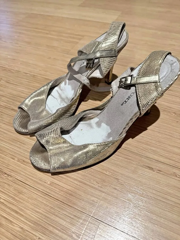 Free Tango / Latin dance shoes thumbnail