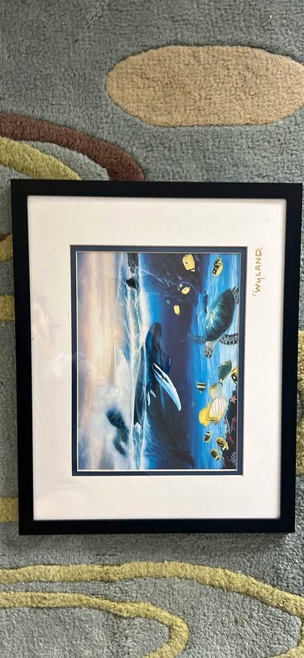 Framed sea wall picture