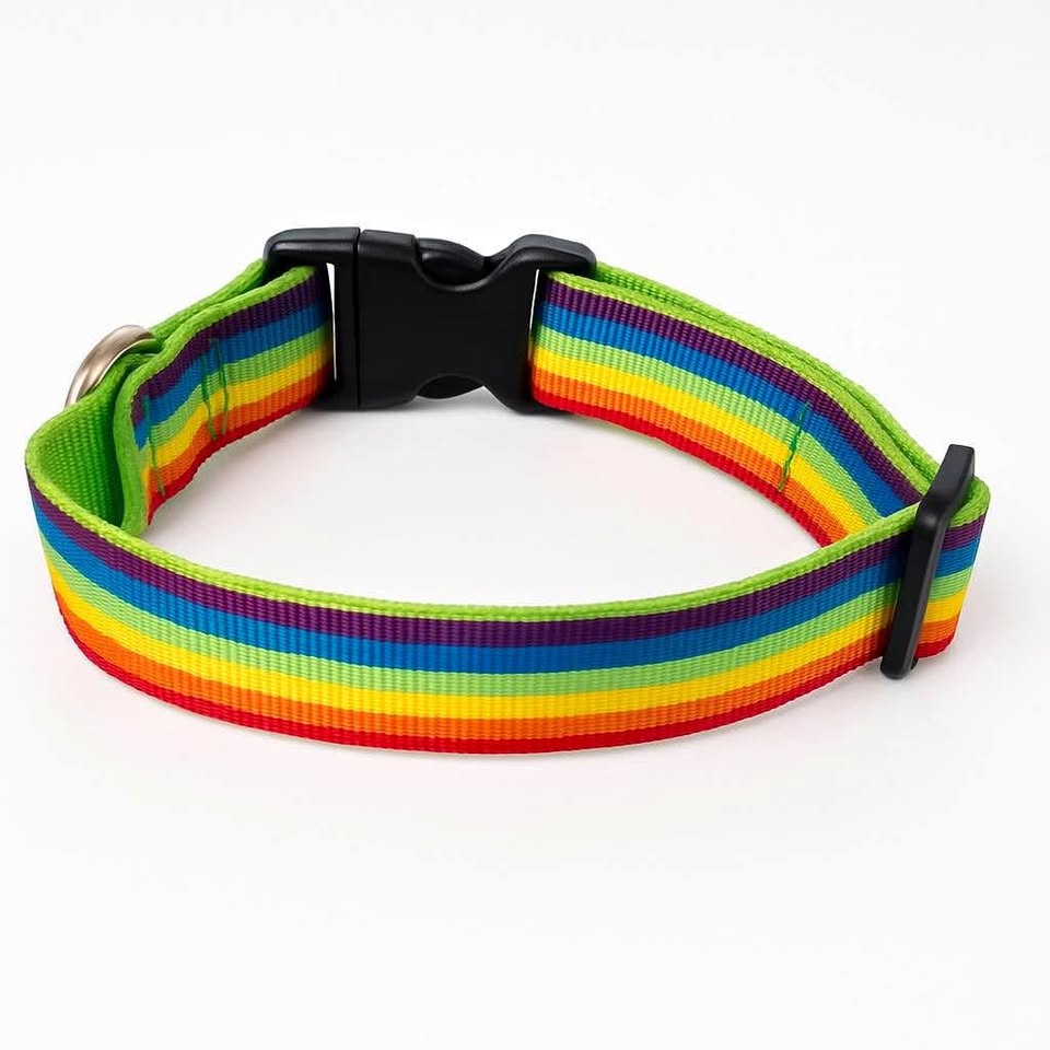 Rainbow Dog Collar - Adjustable - New