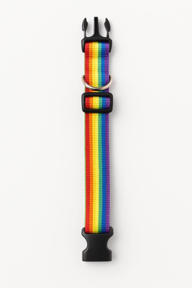 Rainbow Dog Collar - Adjustable - New - photo 2
