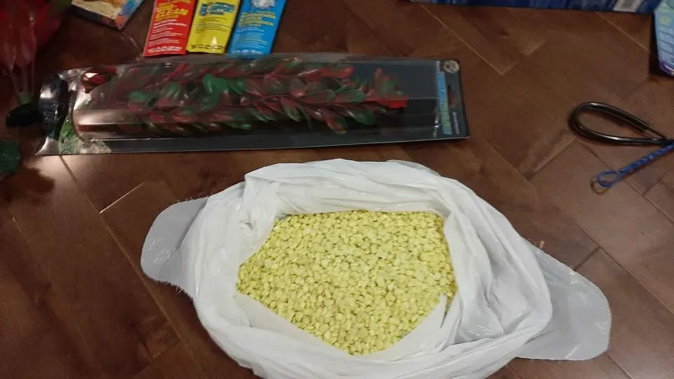 Aquarium 38 Gallon + All Accessories - New Never Used image indicator(8)