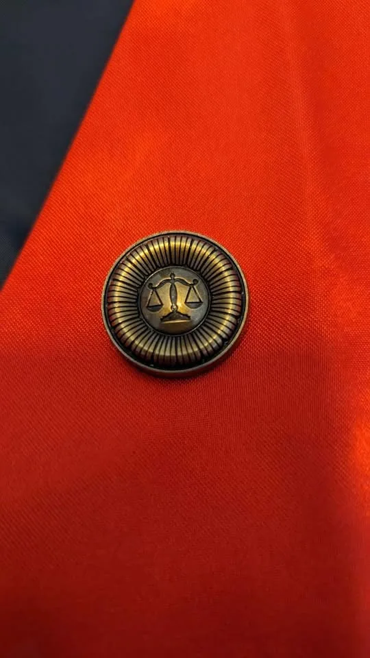 Ace Attorney - Apollo Justice Cosplay image indicator(3)