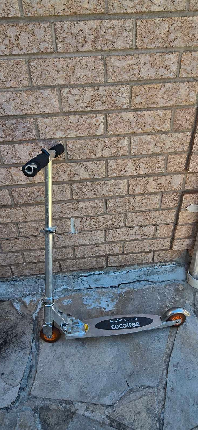 Cocotree Scooter