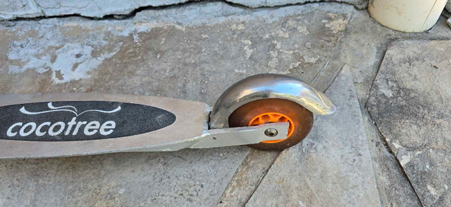 Cocotree Scooter - photo 4