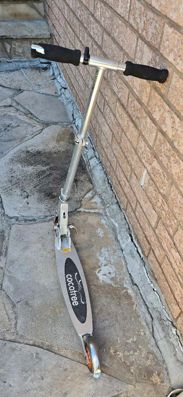 Cocotree Scooter image indicator(5)