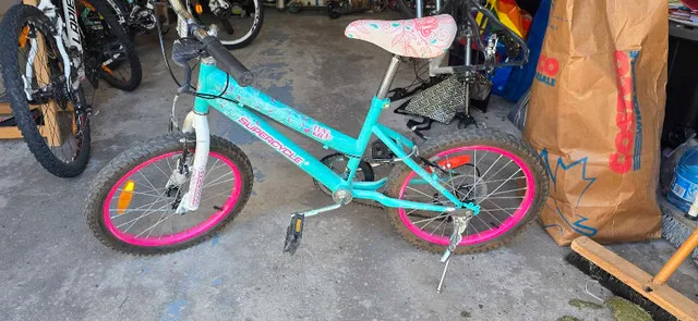 Supercycle Lily Girl's Bike image indicator(2)