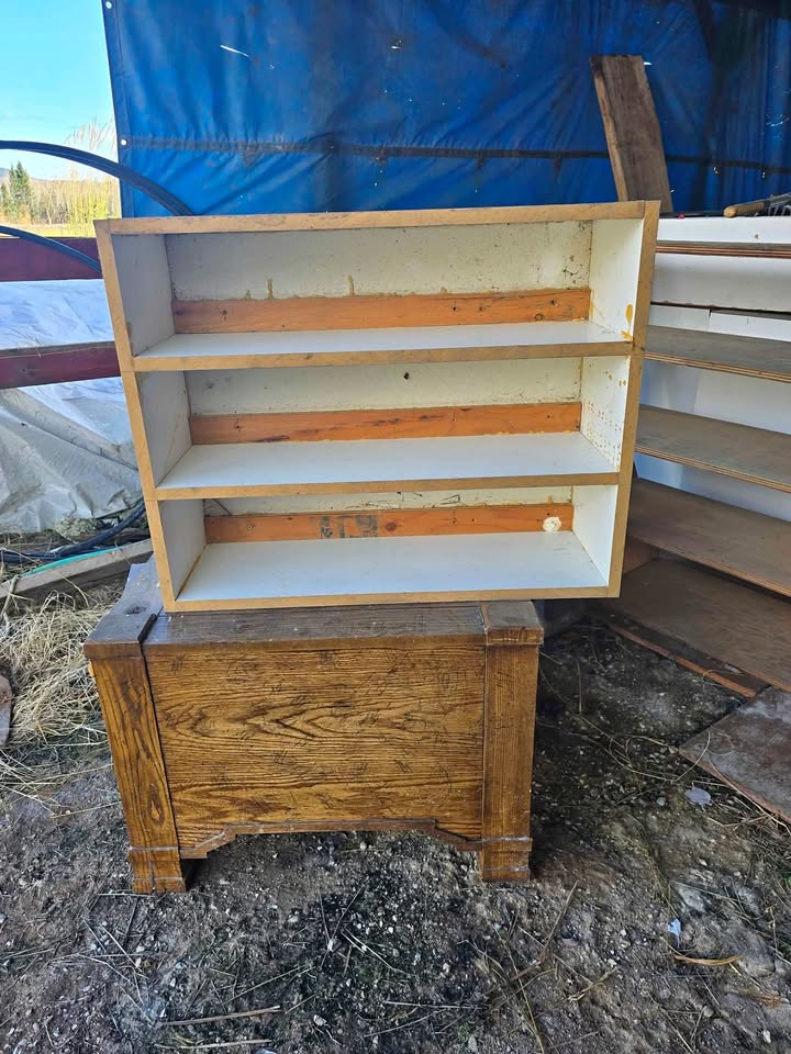 Shop shelves