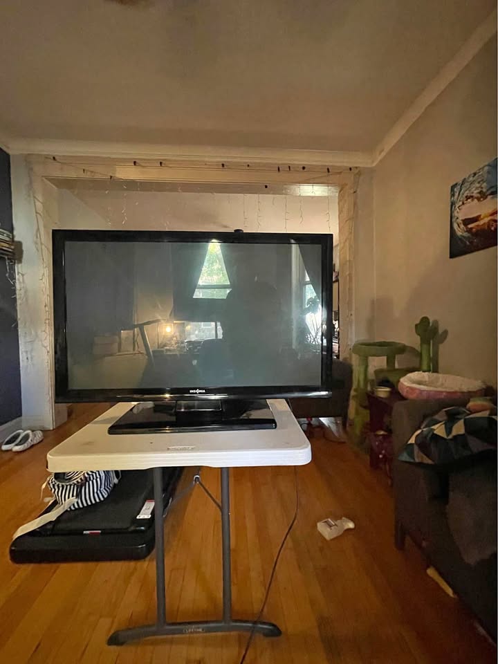 Insignia 42” TV - W/ remote