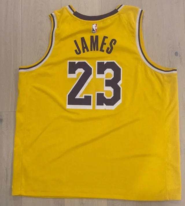 Lebron James Lakers Nike Swingman Dri Fit Jersey 56 thumbnail