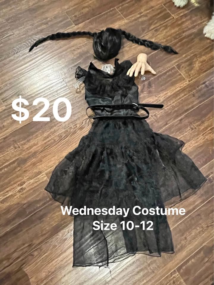 Wednesday Costume