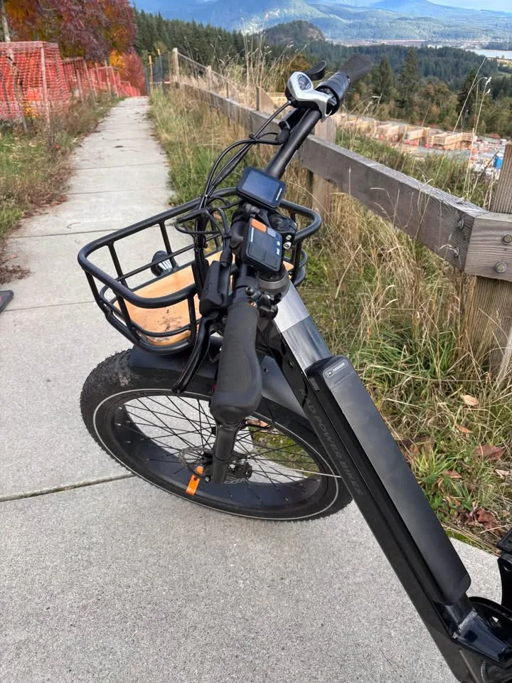 Rad Power Bikes – RadRover 6 Plus E-Bike image indicator(2)