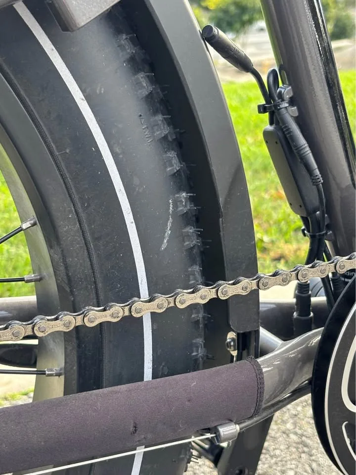 Rad Power Bikes – RadRover 6 Plus E-Bike image indicator(3)