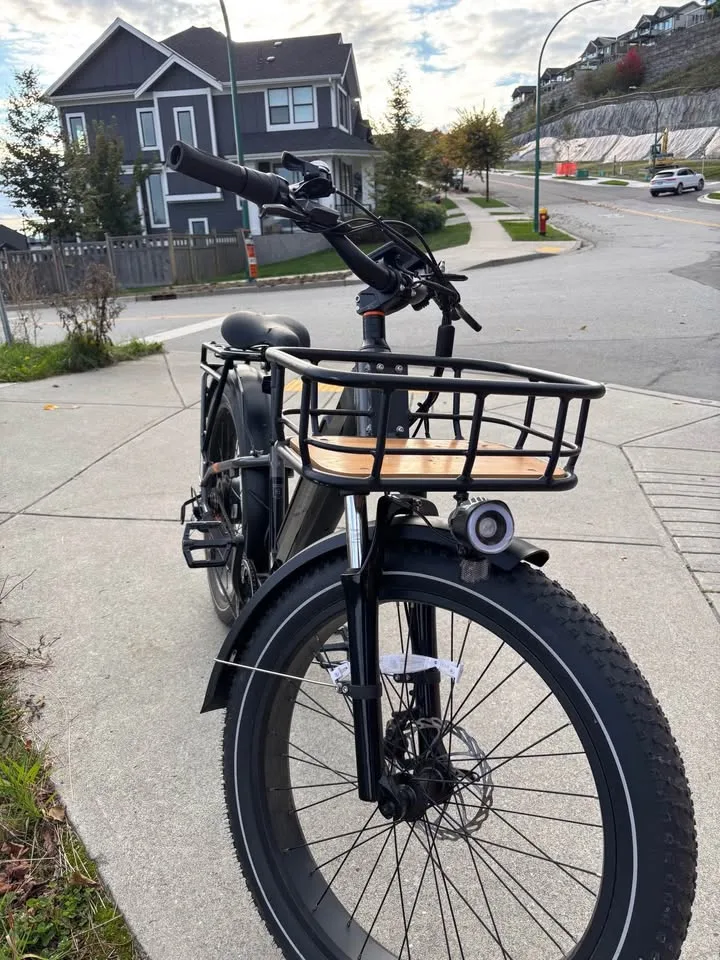 Rad Power Bikes – RadRover 6 Plus E-Bike image indicator(4)