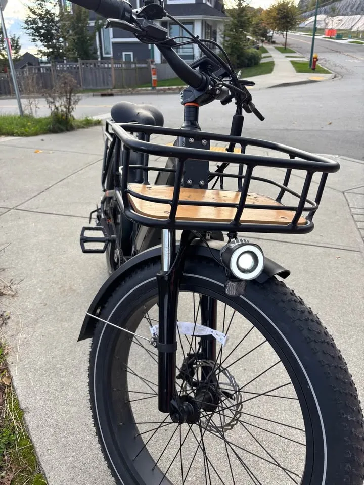 Rad Power Bikes – RadRover 6 Plus E-Bike image indicator(5)