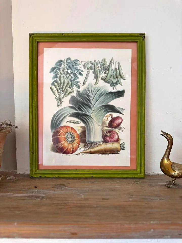 Vintage Botanical Print in Distressed Green Frame thumbnail