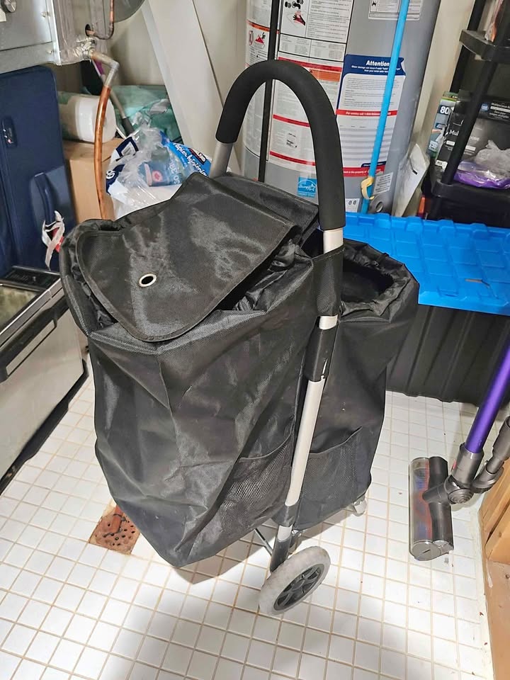 Shopping Bag (Only Bag)
