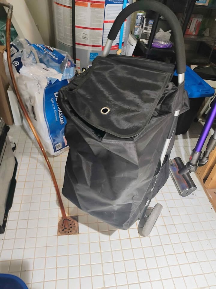 Shopping Bag (Only Bag) - photo 2