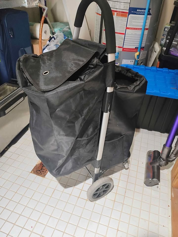 Shopping Bag (Only Bag) - photo 3