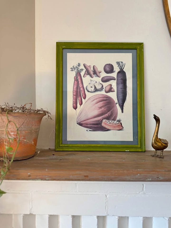 Vintage Vilmorin Vegetable Print