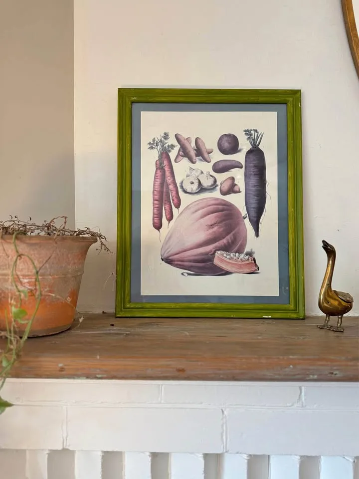 Vintage Vilmorin Vegetable Print thumbnail